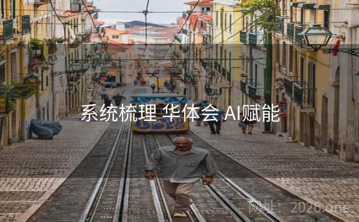 系统梳理 华体会 AI赋能