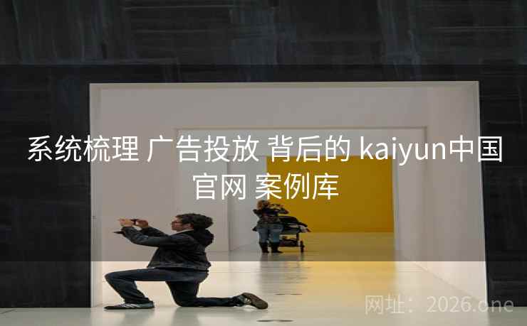 系统梳理 广告投放 背后的 kaiyun中国官网 案例库