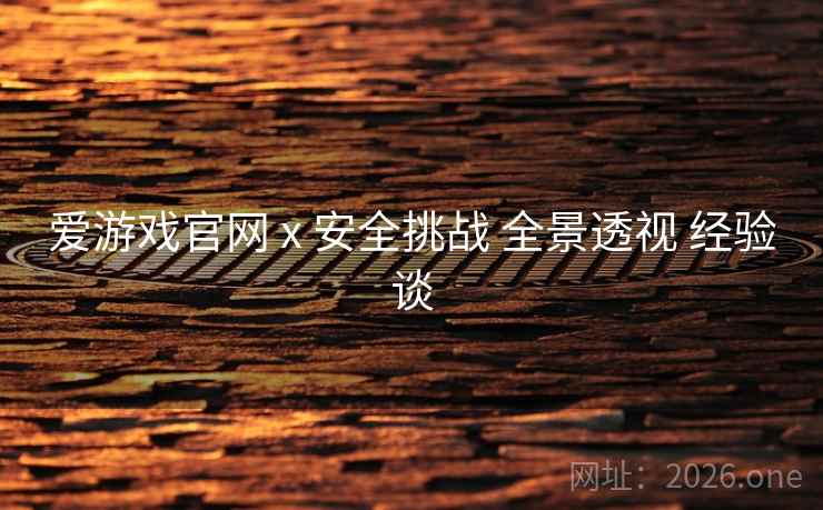 爱游戏官网 x 安全挑战 全景透视 经验谈