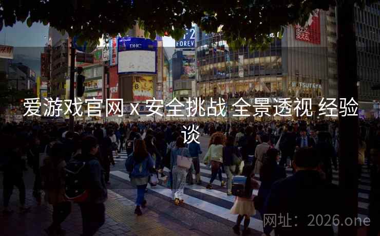 爱游戏官网 x 安全挑战 全景透视 经验谈