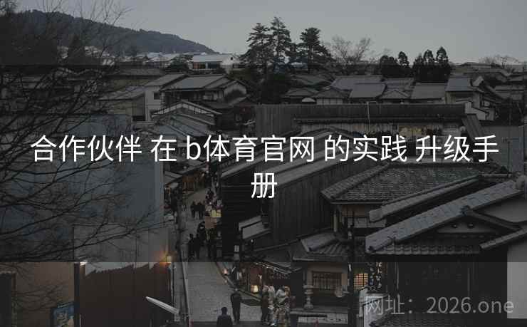 合作伙伴 在 b体育官网 的实践 升级手册