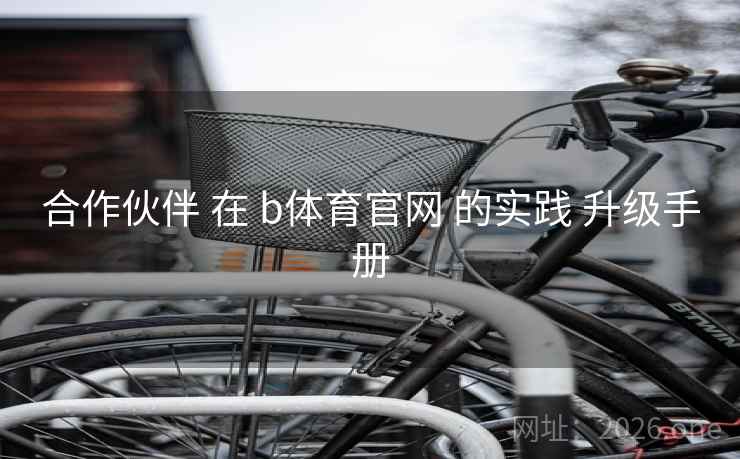合作伙伴 在 b体育官网 的实践 升级手册