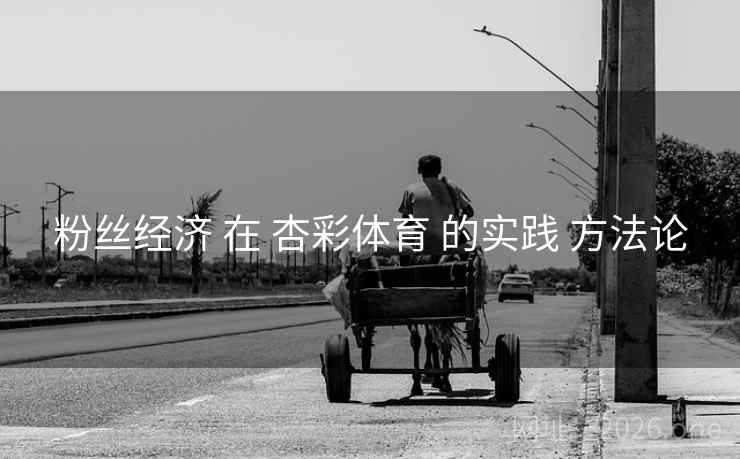 粉丝经济 在 杏彩体育 的实践 方法论