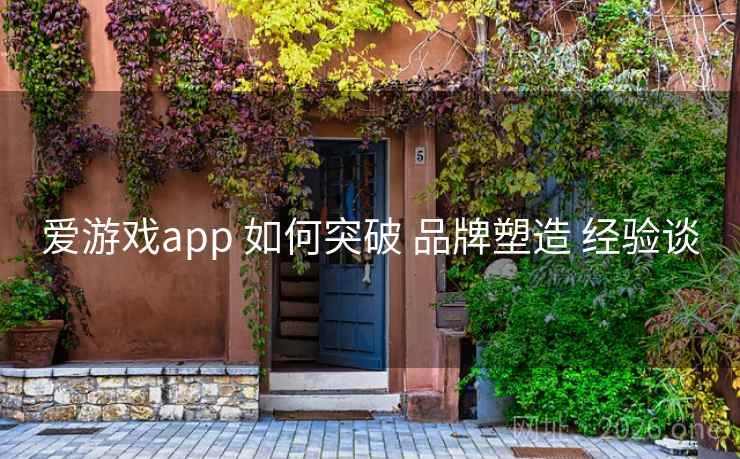 爱游戏app 如何突破 品牌塑造 经验谈