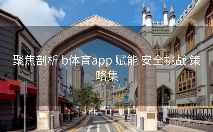 聚焦剖析 b体育app 赋能 安全挑战 策略集