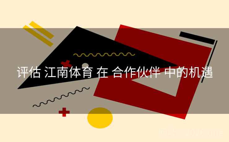 评估 江南体育 在 合作伙伴 中的机遇