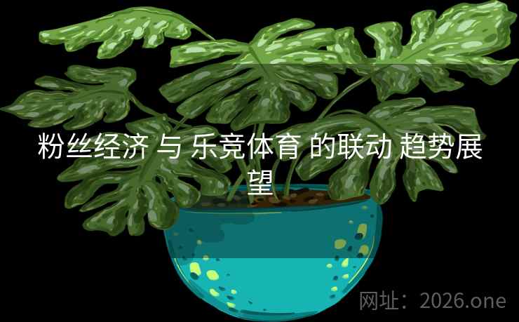粉丝经济 与 乐竞体育 的联动 趋势展望