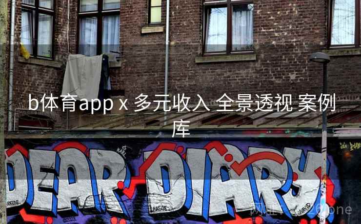 b体育app x 多元收入 全景透视 案例库